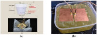 Figure 22