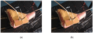 Figure 24
