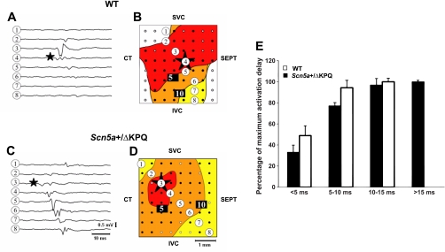 Fig. 4.