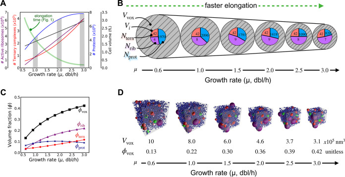 FIG 3