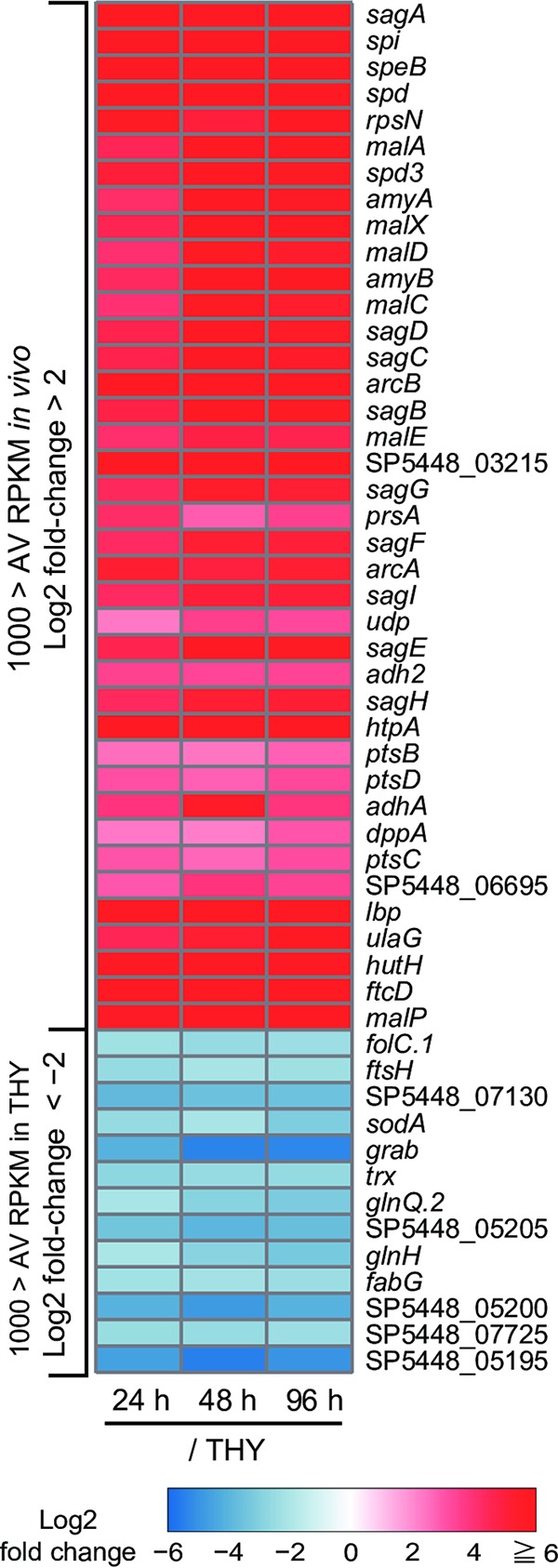 FIG 4