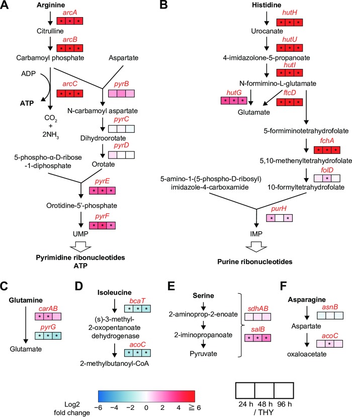 FIG 6