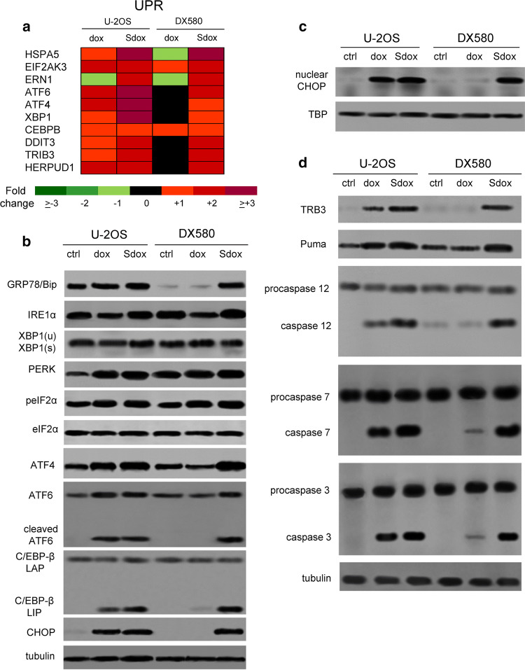 Fig. 6