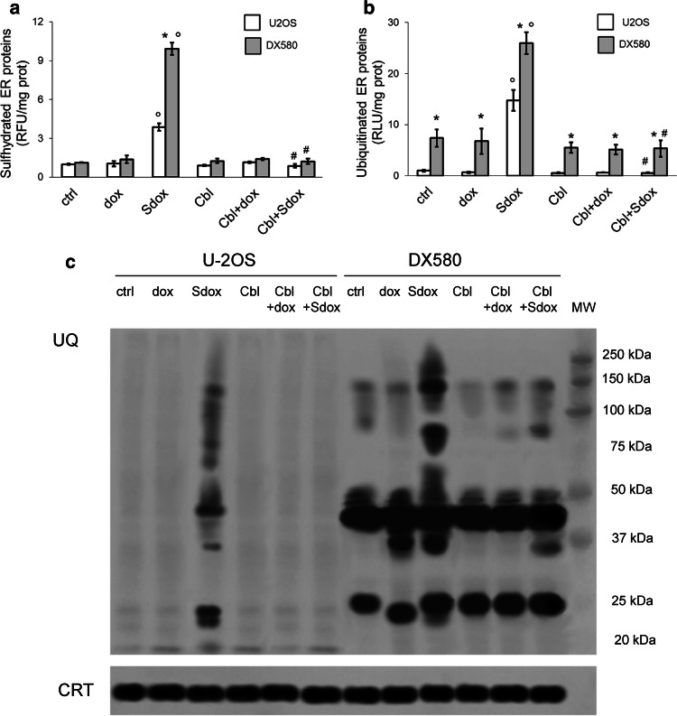 Fig. 4