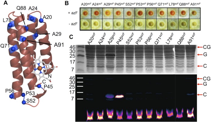 Fig 4