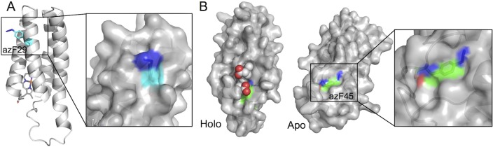 Fig 5