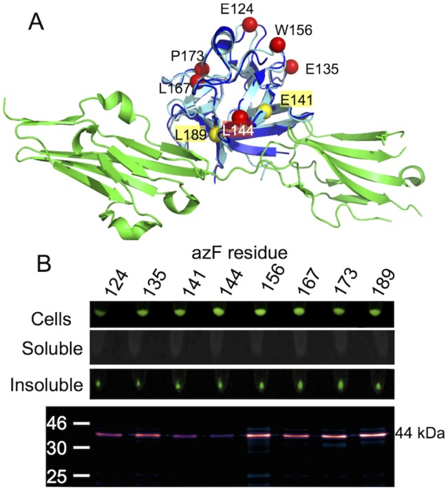 Fig 7