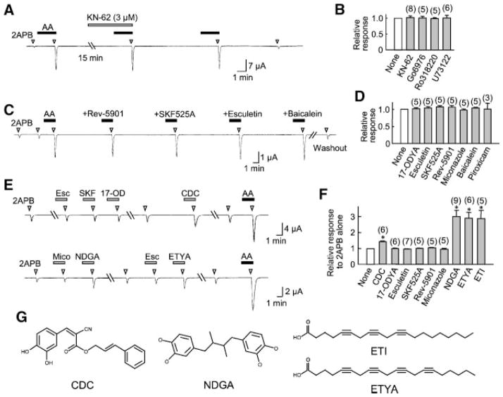 Fig. 8