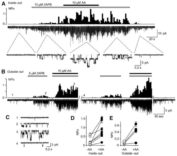 Fig. 4