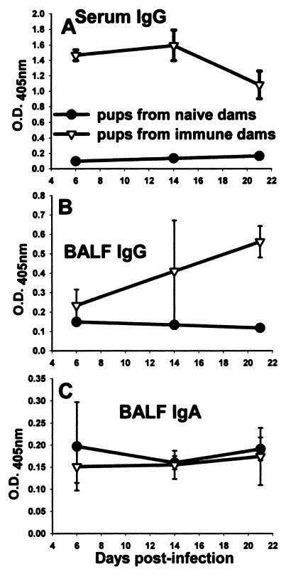 FIG. 5.