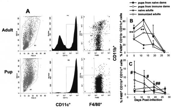 FIG. 7.