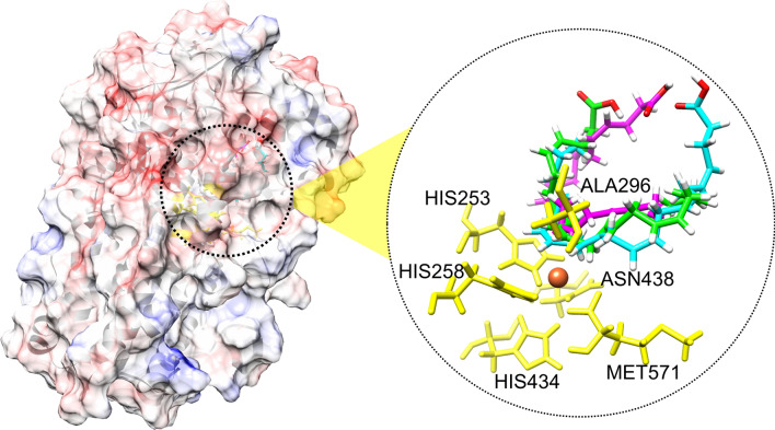 Figure 4