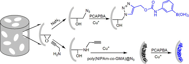 Scheme 1