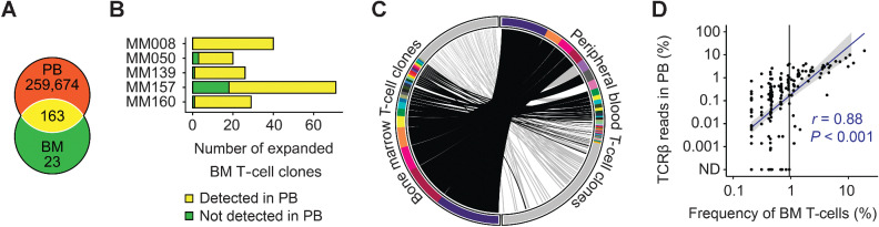 Figure 2. Circulation of expanded bone marrow T-cell clones in peripheral blood. A, Overlap of matched expanded bone marrow and total peripheral blood T-cell clones from 5 patients. Numbers indicate total numbers of T-cell clones. B, Total numbers of expanded bone marrow clones that were also detectable in peripheral blood for each individual patient. C, Left: single-cell TCRαβ sequencing data of bone marrow T cells from patient MM160. Cells that belonged to the same T-cell clone were arranged next to each other and represented by identical colors. Clones are ordered by size, and nonexpanded T cells with unique TCRαβ sequences are represented in gray. Right: corresponding peripheral blood TCRβ repertoire sequencing data. T-cell clones are ordered by TCRβ read number. Clones with a frequency below 0.3% are represented in gray. Links connect bone marrow T-cell clones to peripheral blood T-cell clones with identical CDR3β amino acid sequences (black links: expanded bone marrow T-cell clones, gray links: nonexpanded bone marrow T-cell clones). D, Spearman correlation of clonal T-cell expansion in bone marrow and peripheral blood for all 5 sample pairs combined. Bone marrow T-cell clones with a frequency above 0.95% (vertical black line) were always detectable in corresponding peripheral blood. The gray area indicates 95% confidence interval for an assumed linear correlation (blue line). Sequencing of bone marrow and peripheral blood T cells was done once for each patient resulting in 5 experiments. BM, bone marrow; PB, peripheral blood; and ND, not detected.