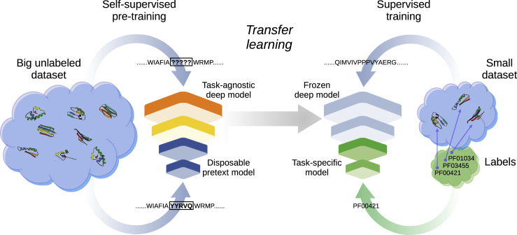 Figure 1