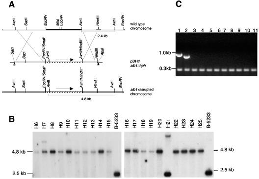 FIG. 2.