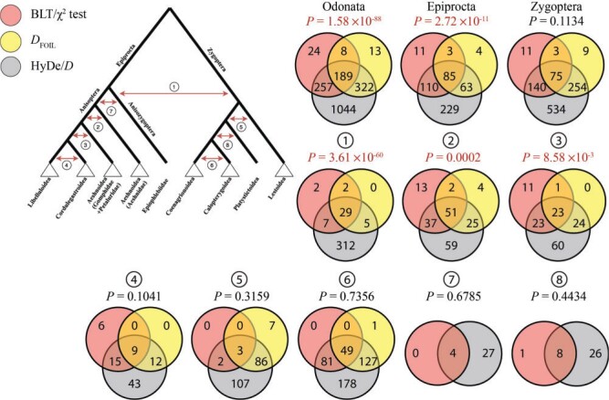 Figure 5.