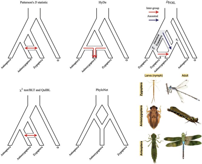 Figure 2.