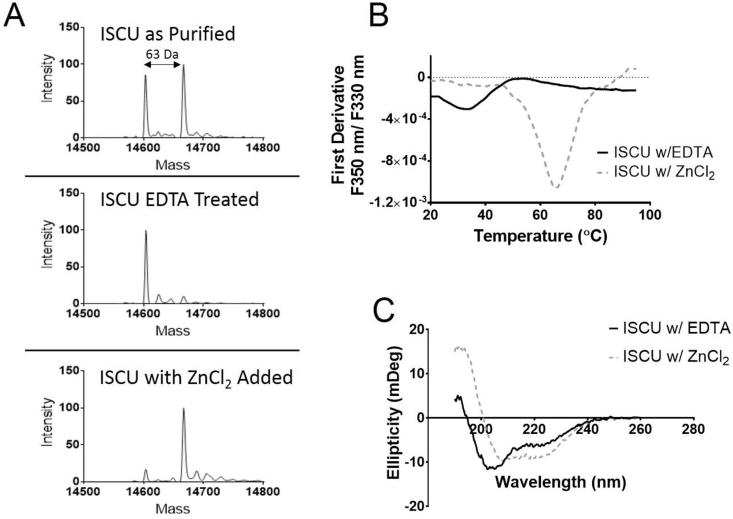 Fig. 1