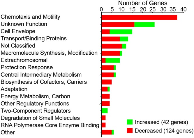 FIG 1