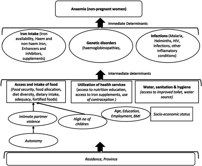 FIGURE 1