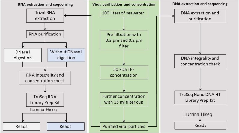 Extended Data Fig. 8