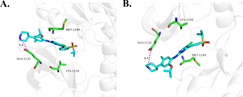 Fig. 10