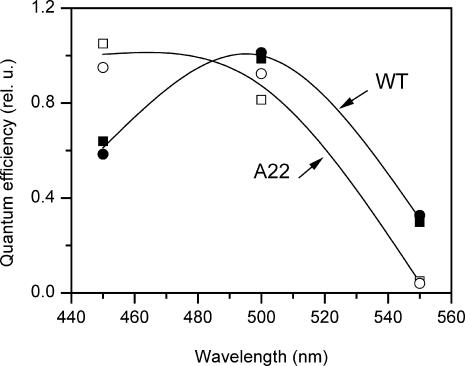 FIGURE 8