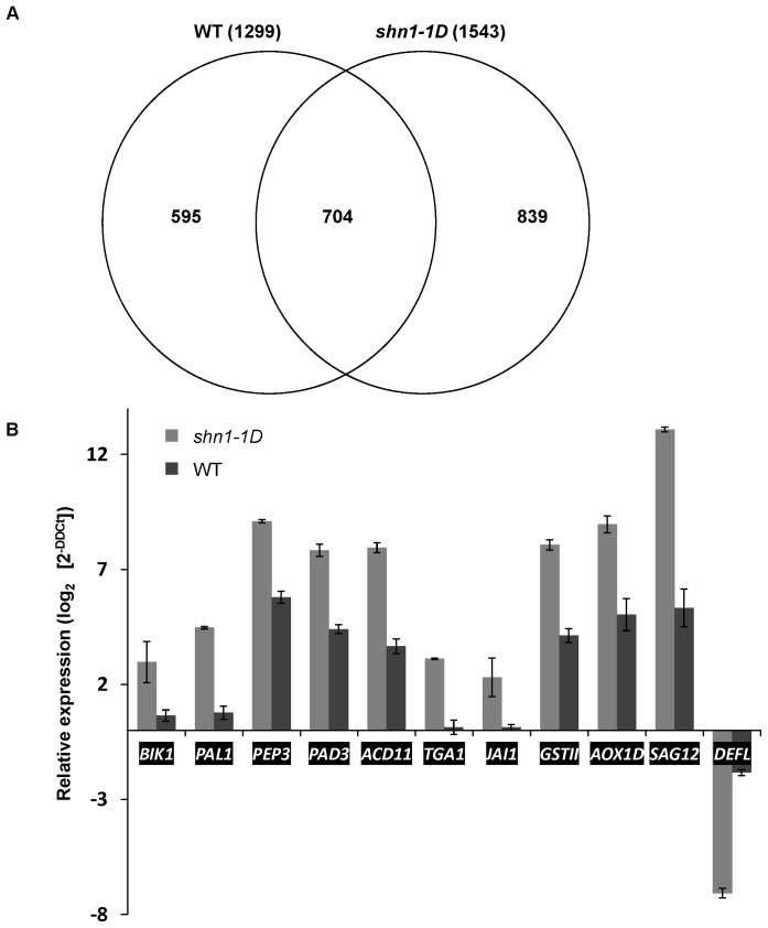 Figure 5