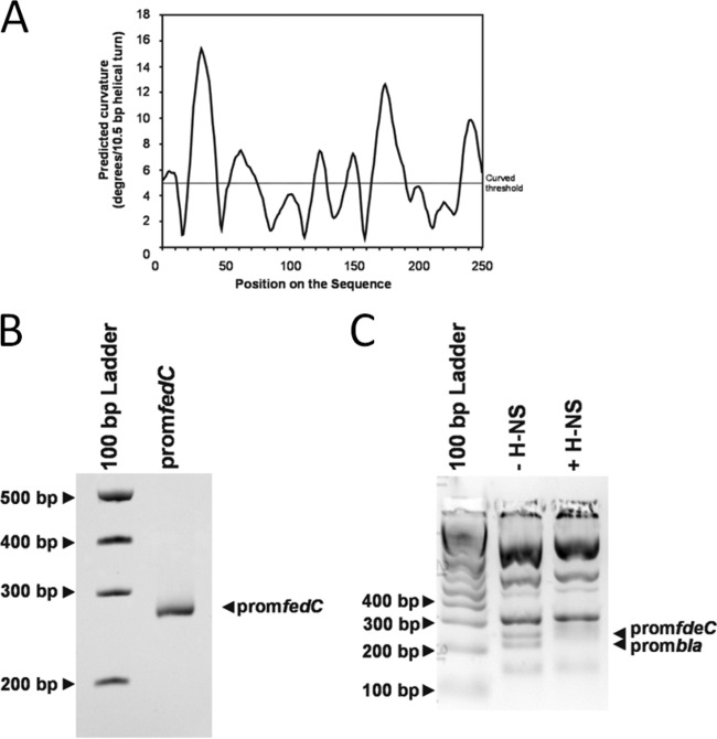 FIG 5