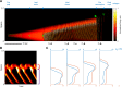 Figure 2—figure supplement 4.