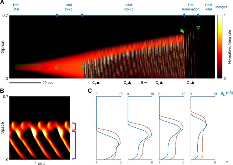 Figure 2—figure supplement 4.