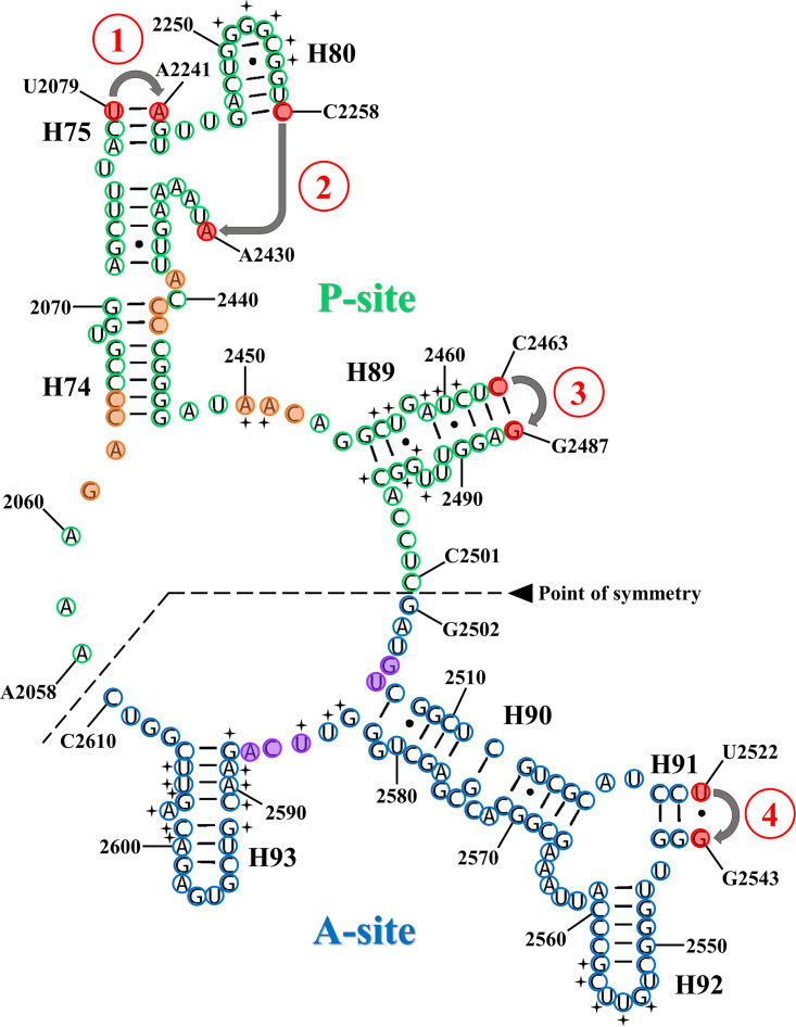 FIG 4