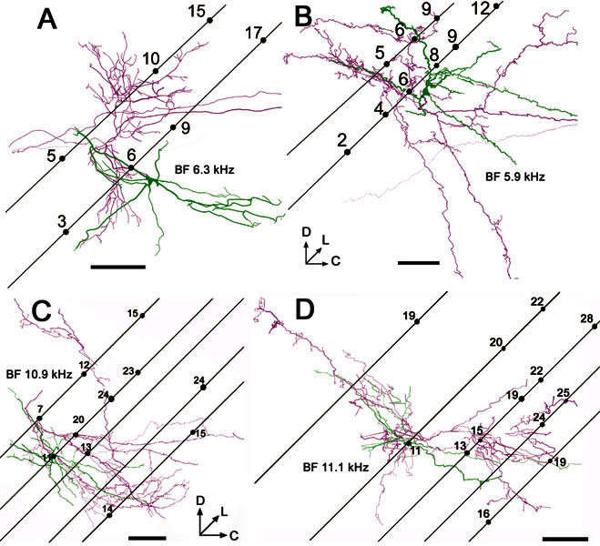 Figure 9