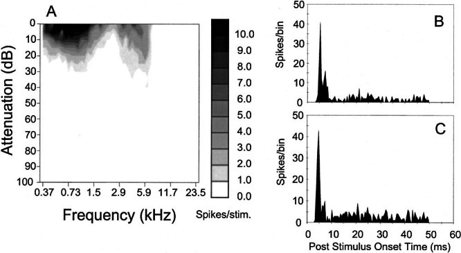 Figure 3