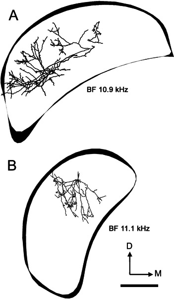 Figure 14