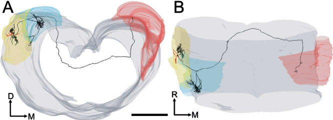 Figure 11