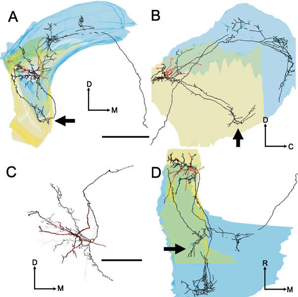 Figure 6