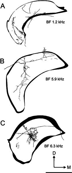 Figure 10