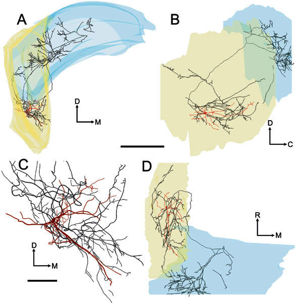 Figure 13