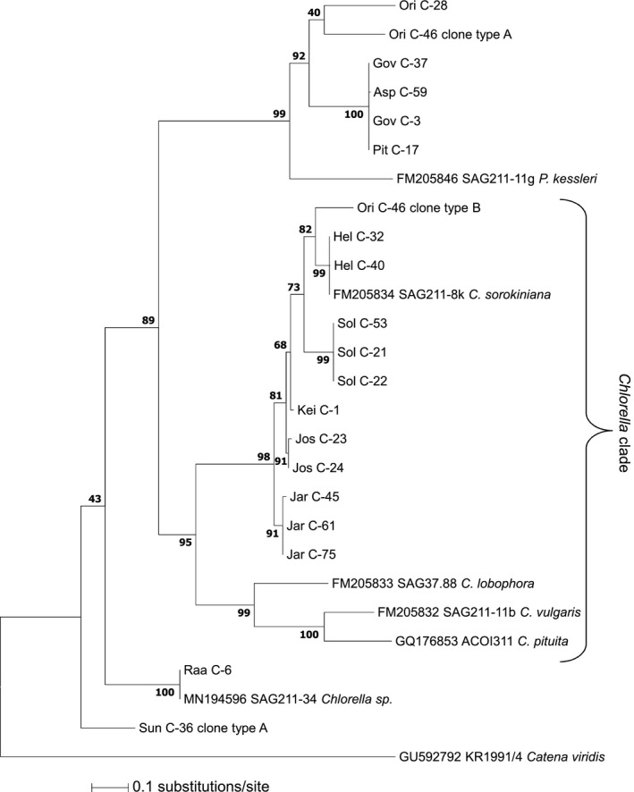 Figure 5