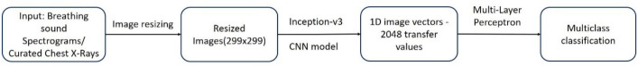 Fig. 10