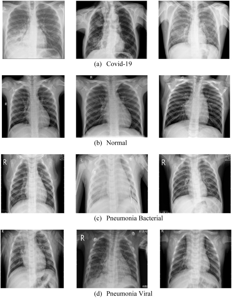 Fig. 25