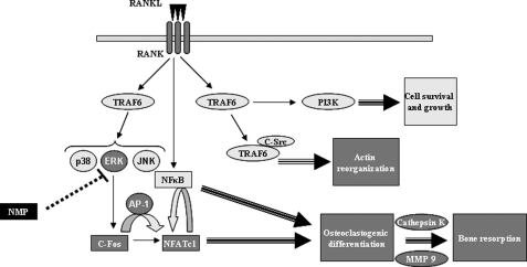 FIGURE 10.