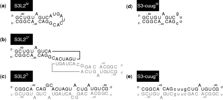 Figure 5.