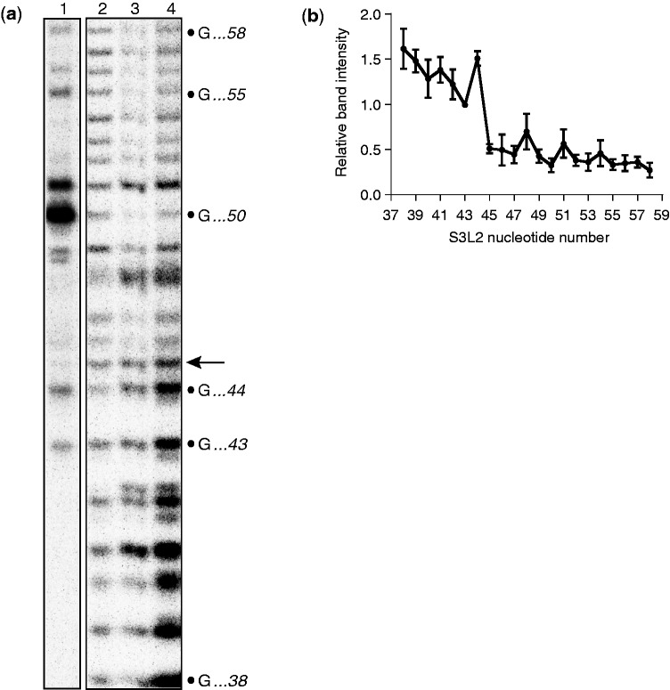 Figure 6.