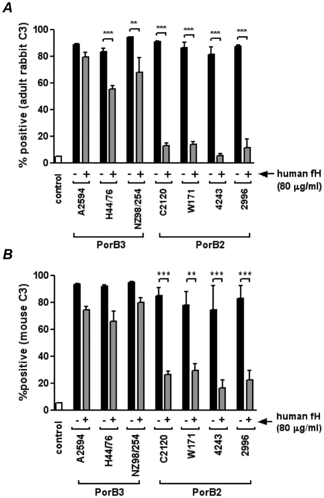 FIG 2 