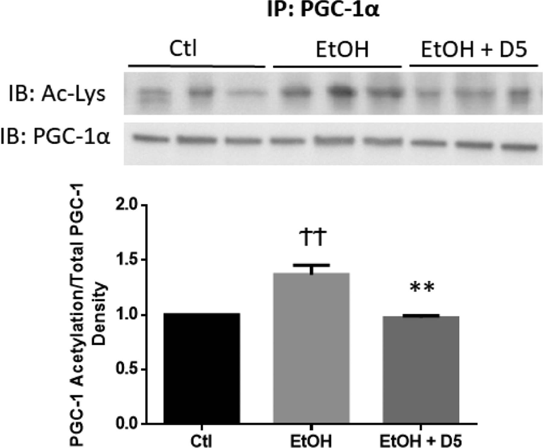 Fig 2.