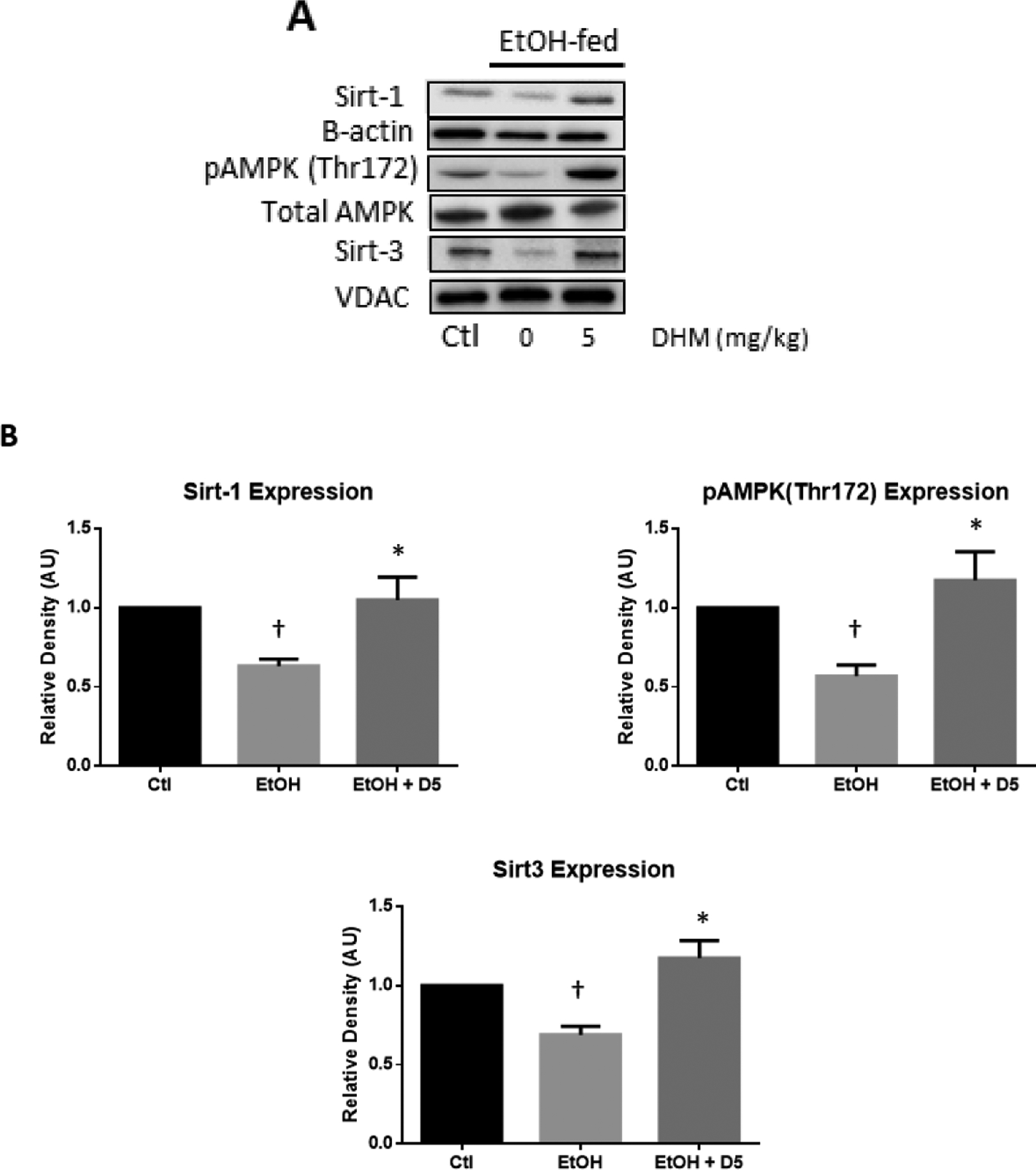 Fig 1.