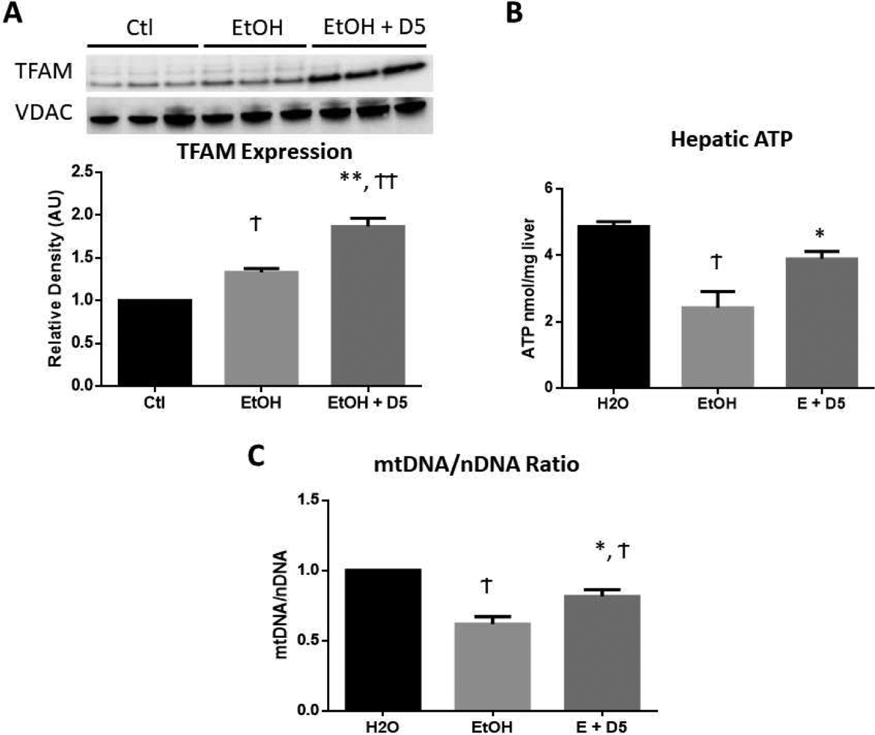 Fig 3.